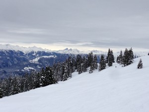 IMG_0025
