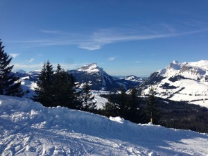 IMG_0026