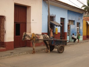 IMG_8063