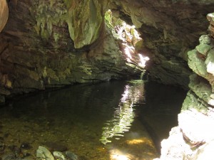 IMG_8099
