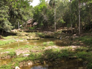 IMG_8144