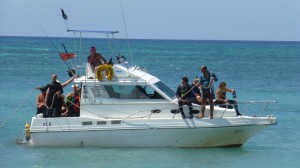 P1000590