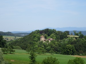 IMG_0010