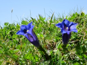 IMG_0027