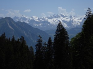 IMG_0032