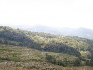 IMG_0223