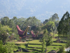 IMG_0363