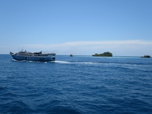 IMG_0377