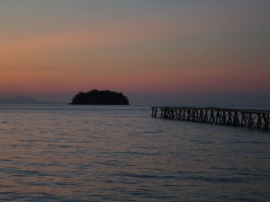 IMG_0423