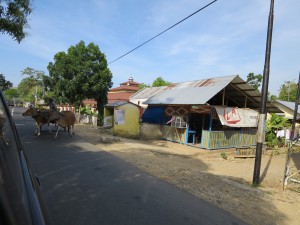 IMG_0438
