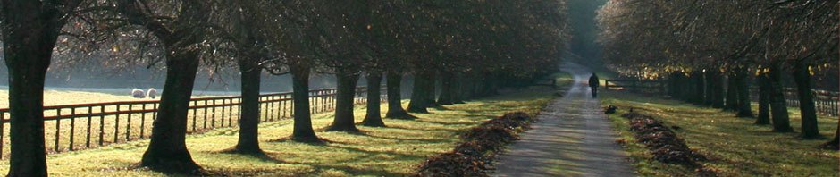 Silvans Reiseblog